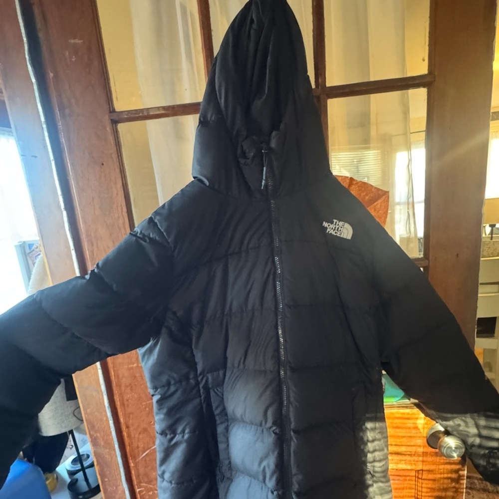 The North Face Black Hooded Jacket
